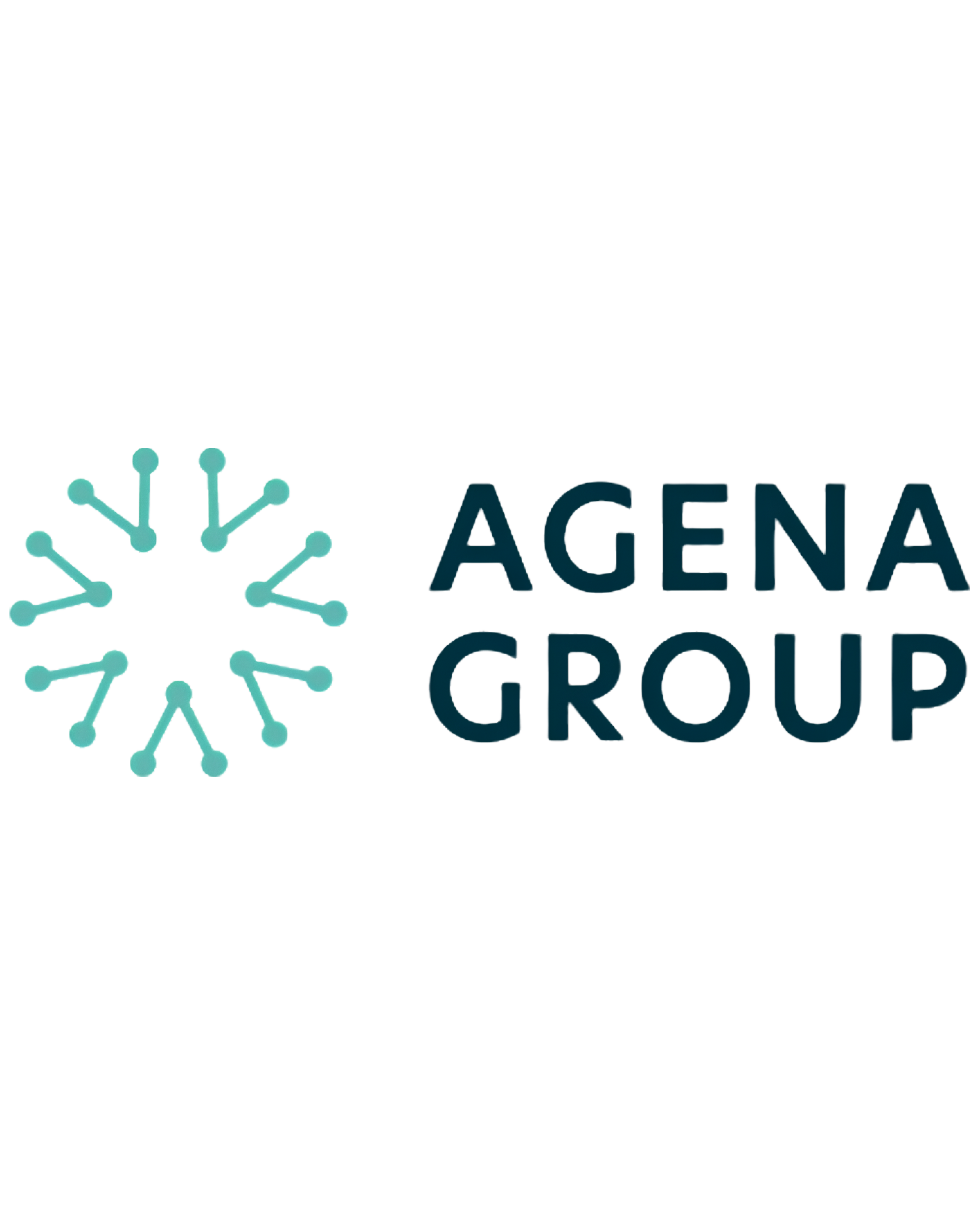 Agena Group logo