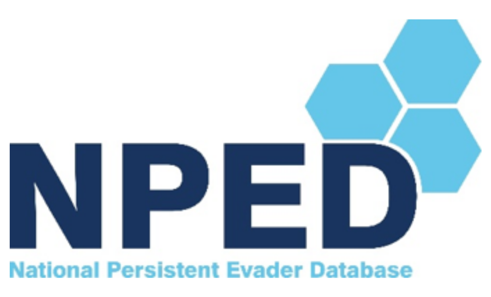 NPED Services Ltd logo